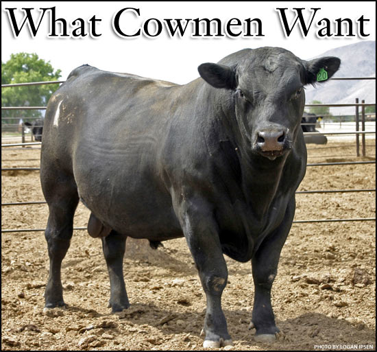 What cowmen want