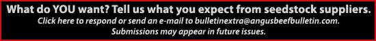 Bull response