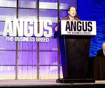Allen Moczygemba, CEO, American Angus Association