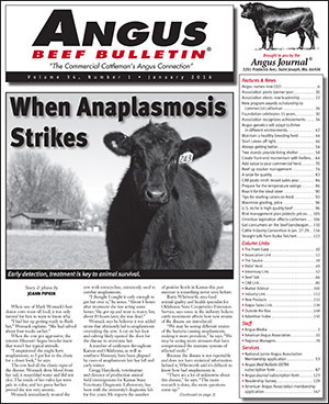 January Angus Beef Bulletin