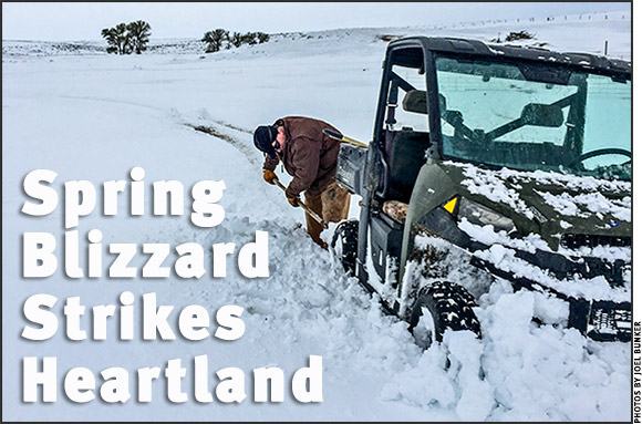 Spring Blizzard Strikes Heartland