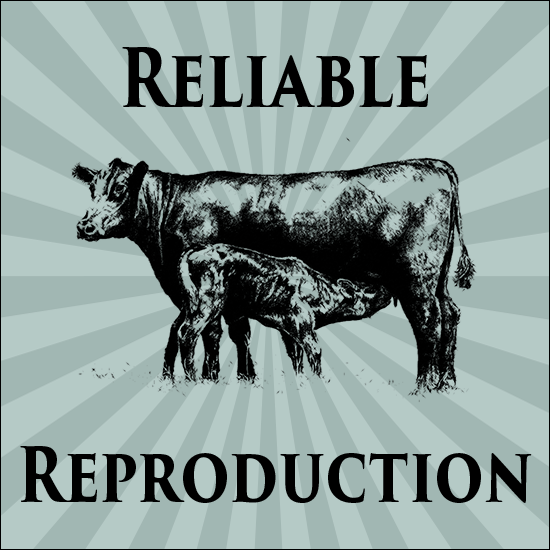 Reliable Reproduction